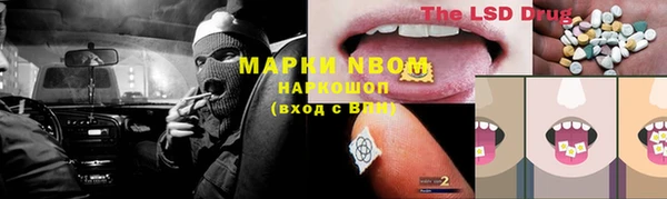 гидропоника Болотное