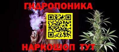 молекула духа Бийск