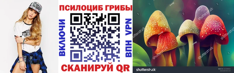 Псилоцибиновые грибы Magic Shrooms  сколько стоит  Красноярск 