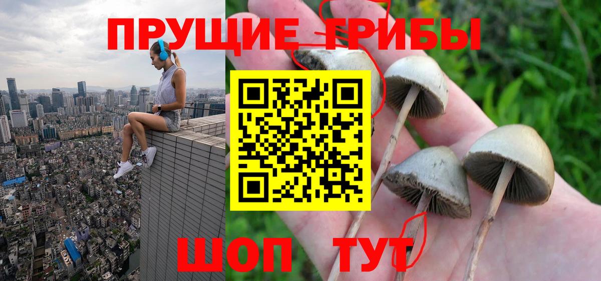 Псилоцибиновые грибы Cubensis  Вход с VPN  Галлюциногенные грибы мицелий  Красноярск 