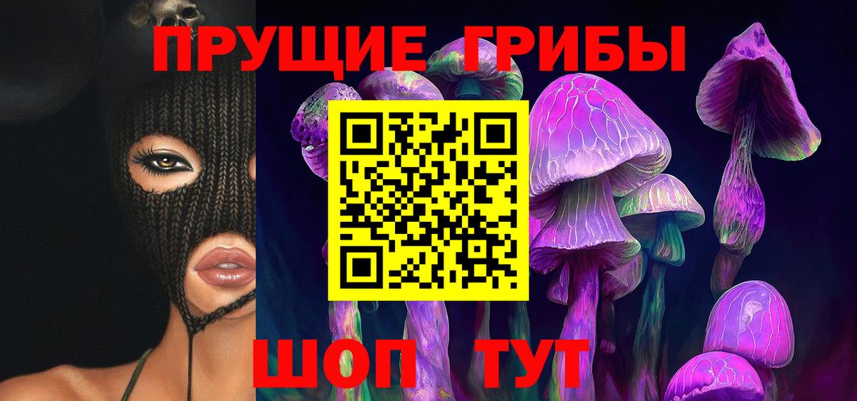 Галлюциногенные грибы Psilocybine cubensis Красноярск